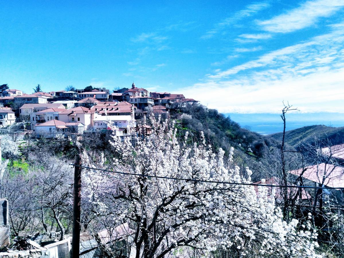 Three Gracia Hotel Sighnaghi Bagian luar foto