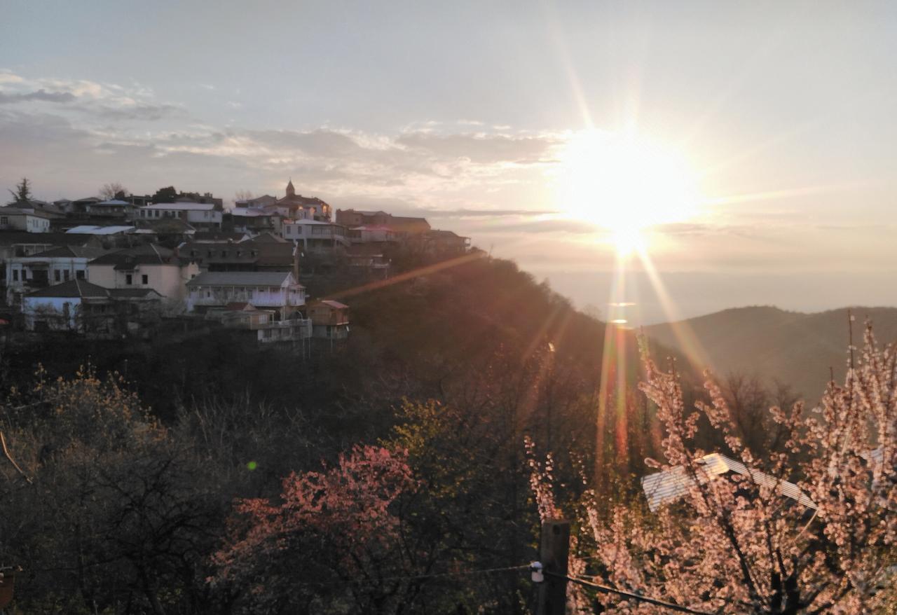 Three Gracia Hotel Sighnaghi Bagian luar foto